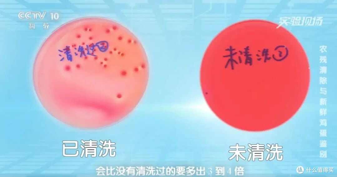 这种"长斑"的鸡蛋，千万别再吃了！