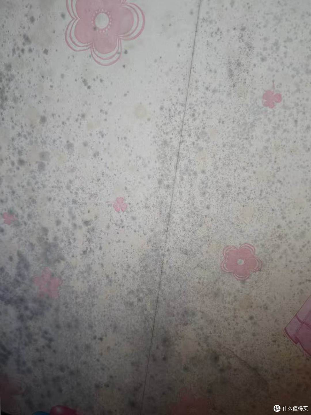 买房踩坑墙角卫生间全发霉,这支除霉剂真救我命,效果嘎嘎棒!