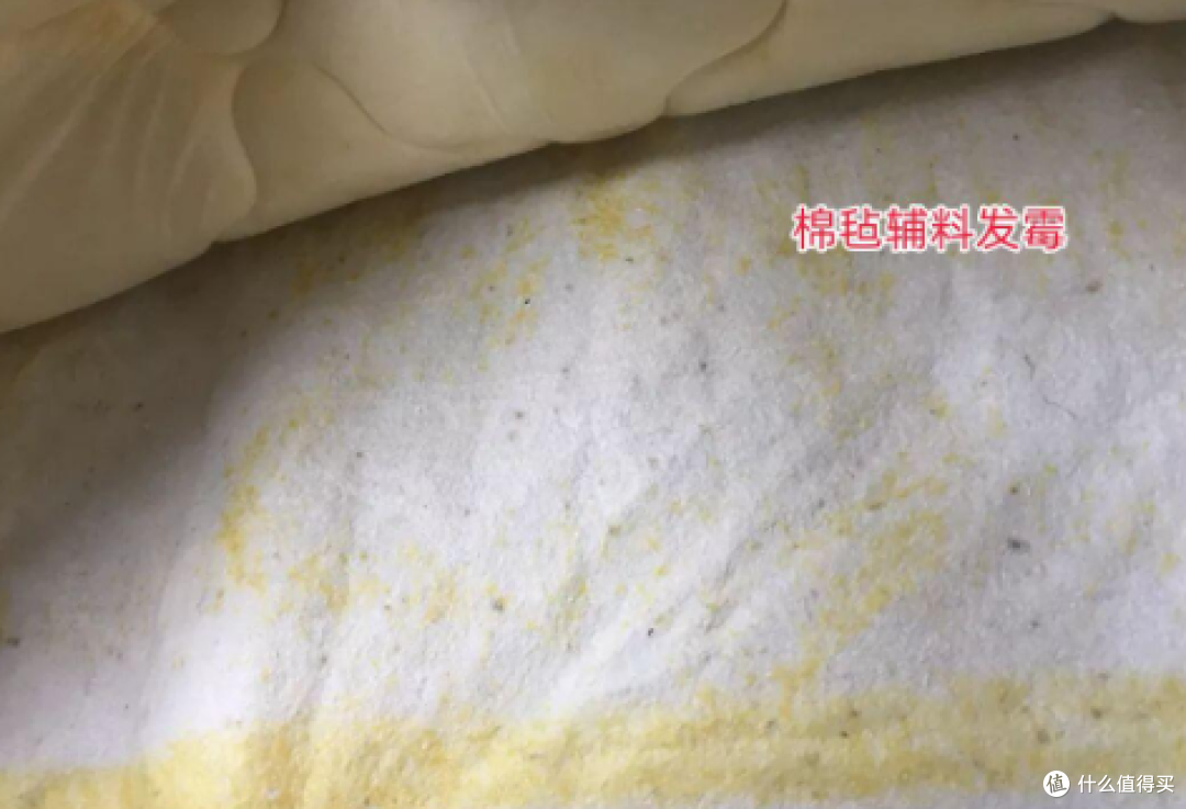 【内行人有话说】2026 床垫选购攻略：床垫哪个牌子性价比高？