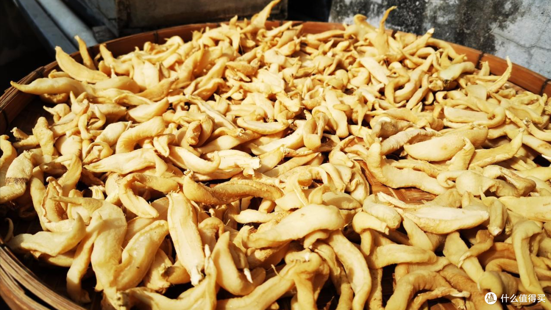 秋天晾干菜5种便宜菜分享你,3天就能晾好,冬天用它炖肉做馅嘎香