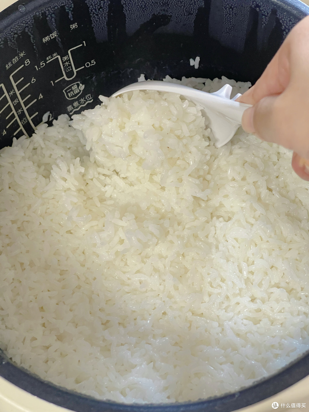 开学以后的一日三餐怎么安排?实测首农5款家庭常备食品