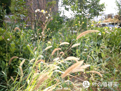孩子天天愿意带出门的第一台超薄口袋相机:松典薄氪BK05使用分享