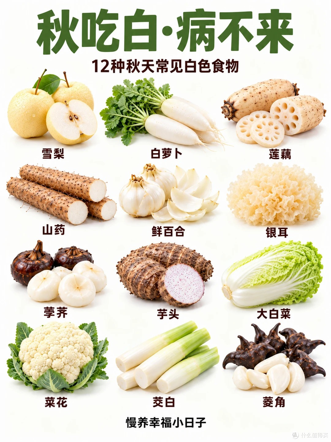 秋天多吃白🤍这12种应季食物记得安排