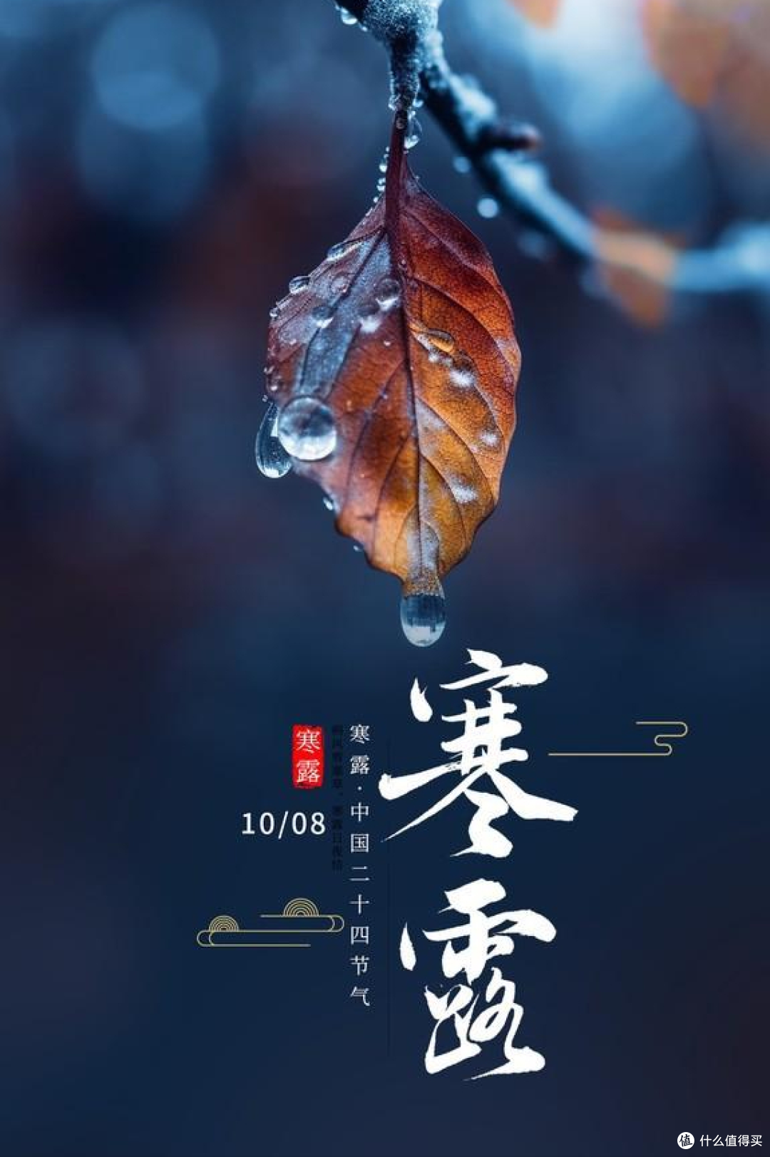 老传统寒露贴秋膘!今日寒露,5 道硬菜安排上,肉香十足越吃越暖