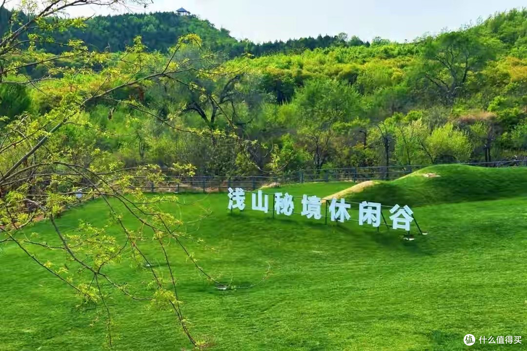 纯GABA首购：资料写得少，不代表配料真的少