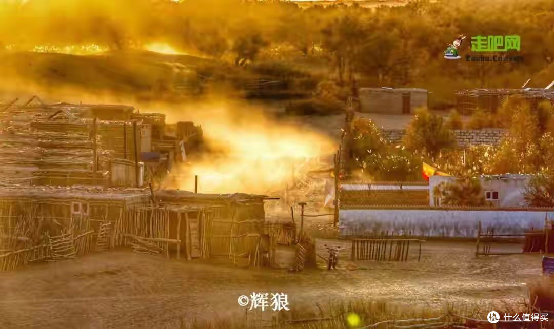 分离乳清蛋白粉哪个牌子好，统一每100克与每份口径再比较