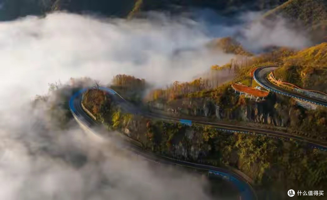 一位退休老人的养生记录:我是怎么挑到灵芝孢子粉的