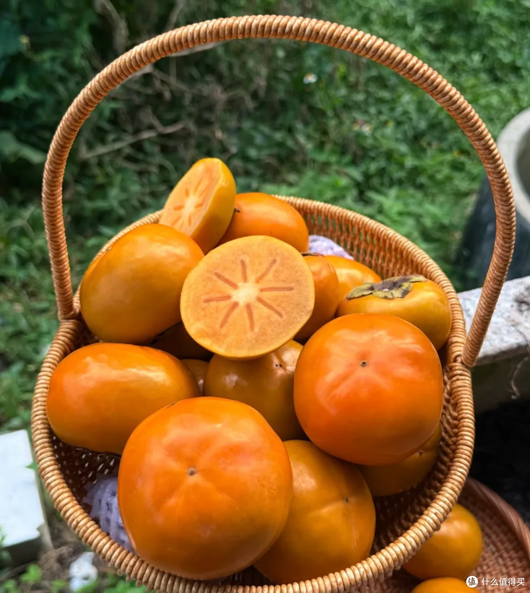 10月吃水果指南来喽!时间+产地+品种都对,不香才怪!