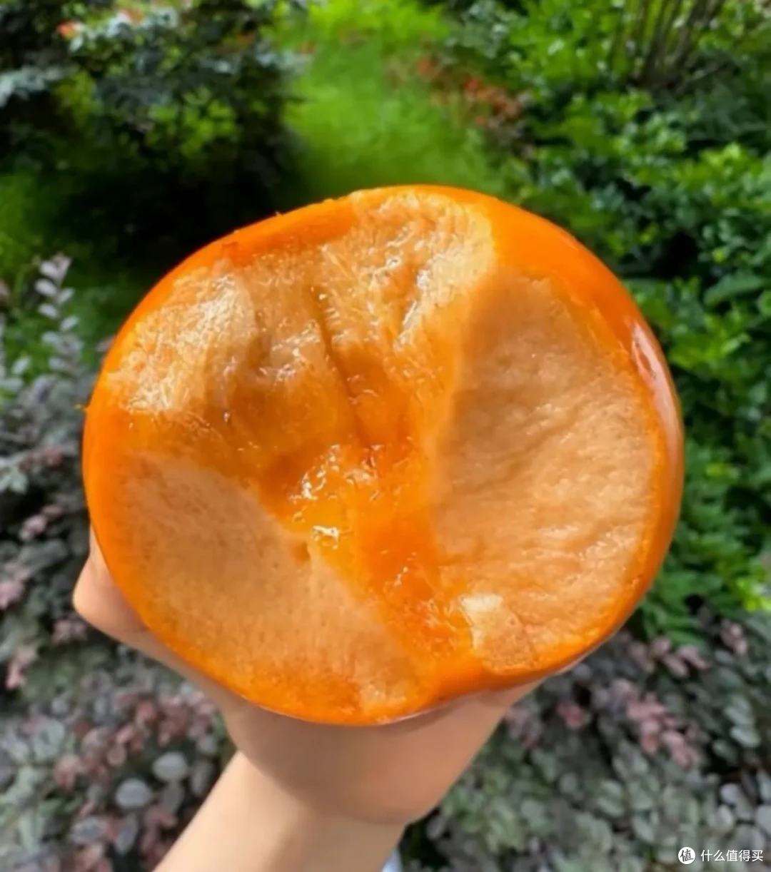 10月吃水果指南来喽!时间+产地+品种都对,不香才怪!