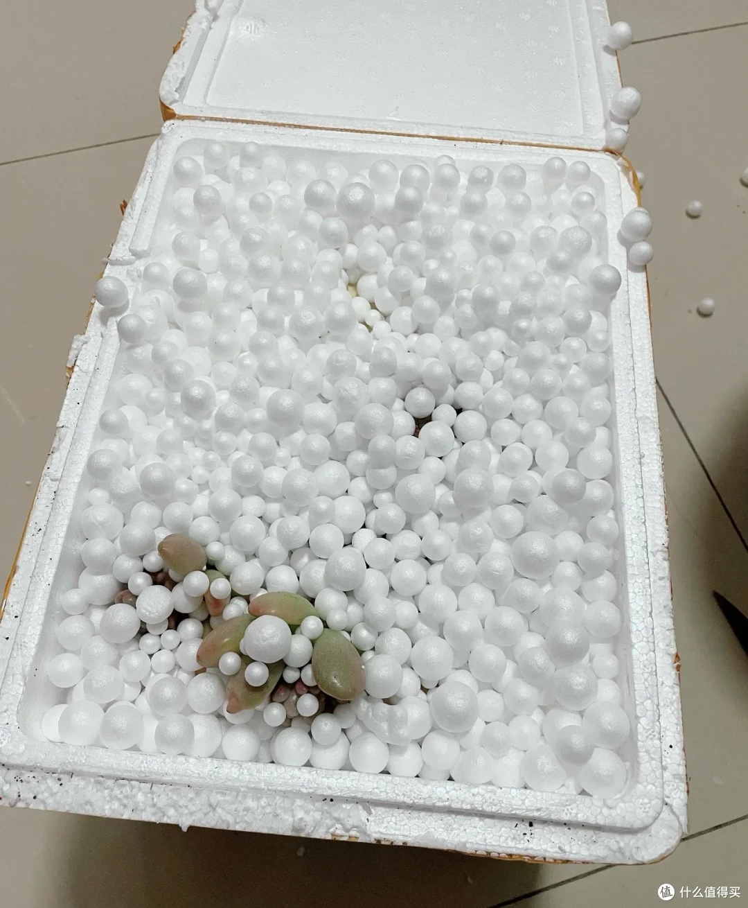 有时候真想问:这种泡沫包材能不能滚出银河系?