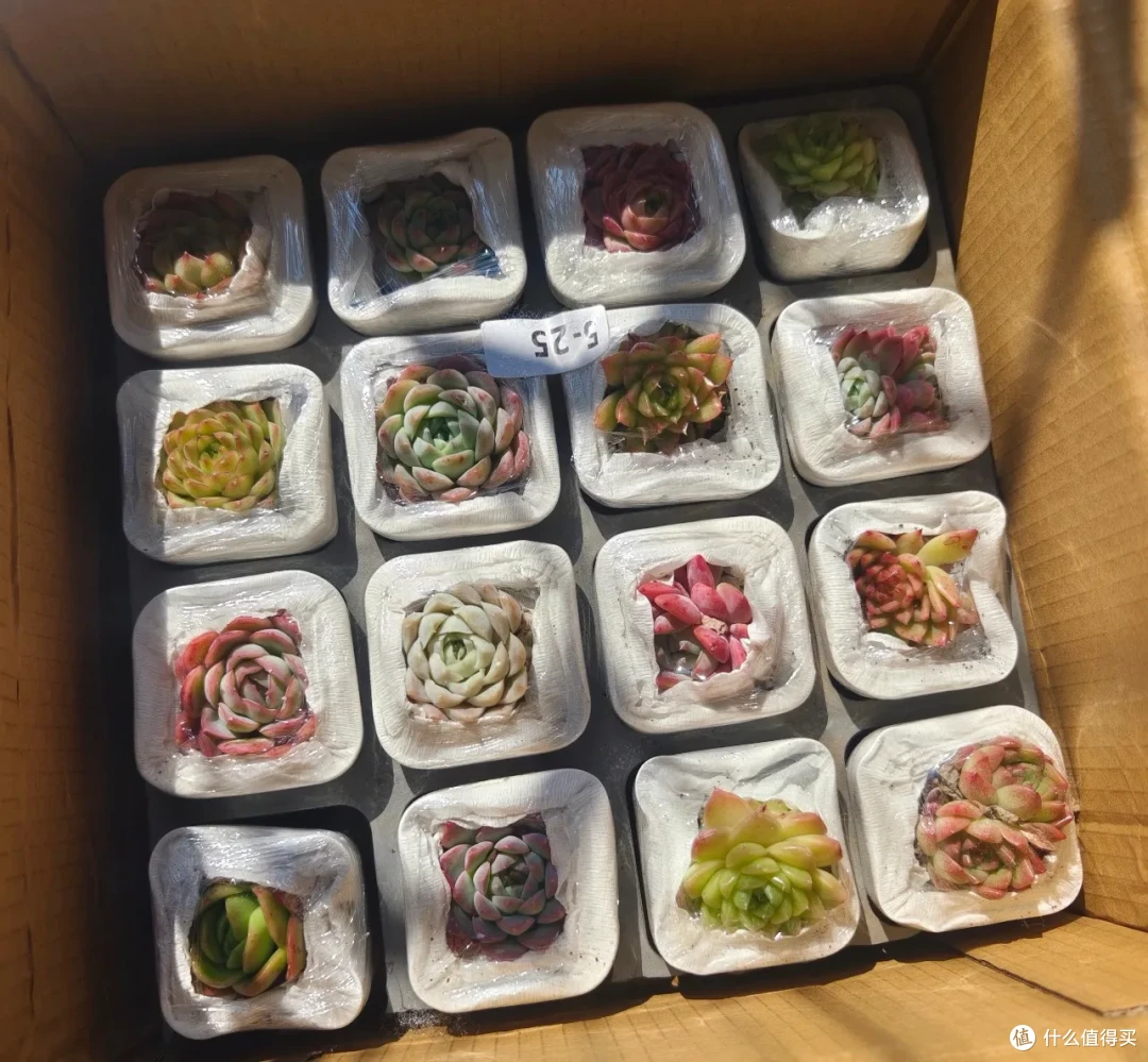 有时候真想问:这种泡沫包材能不能滚出银河系?