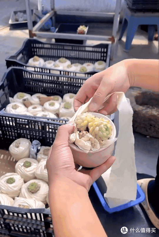有时候真想问:这种泡沫包材能不能滚出银河系?
