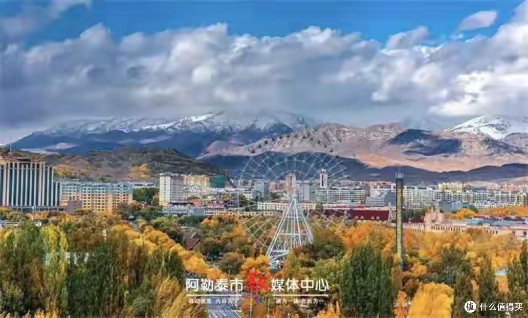 如何依据营养标签科学选择蛋白粉