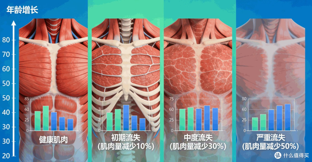 如何依据营养标签科学选择蛋白粉