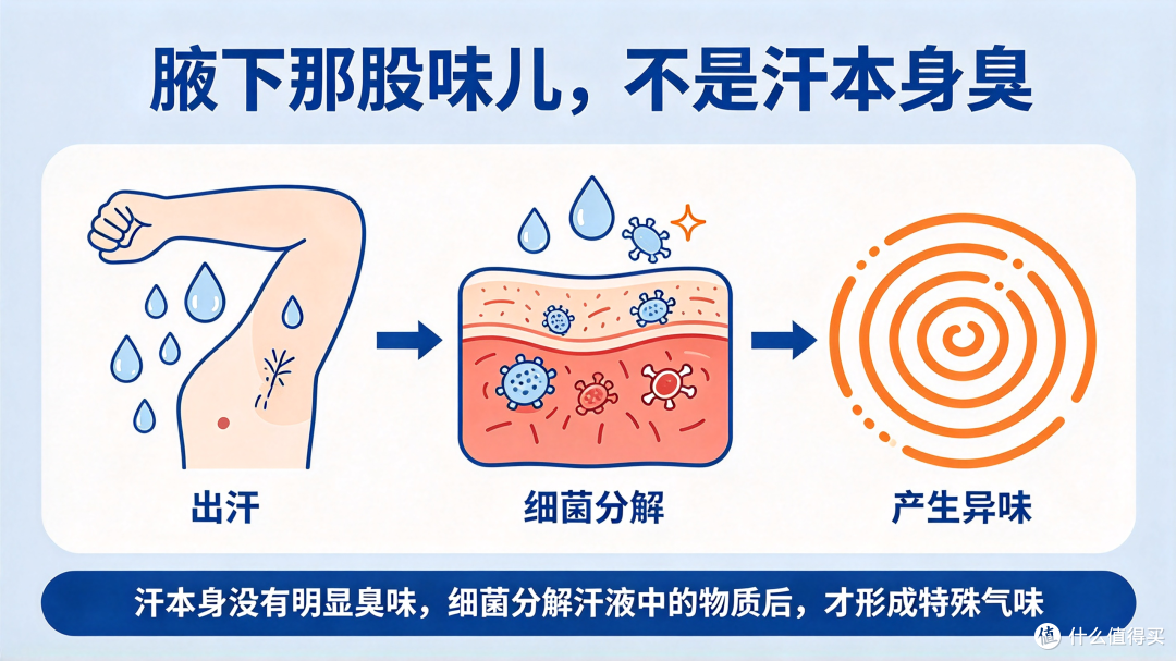 有油耳朵的人，别不信？基本都省了一笔止汗露的钱!