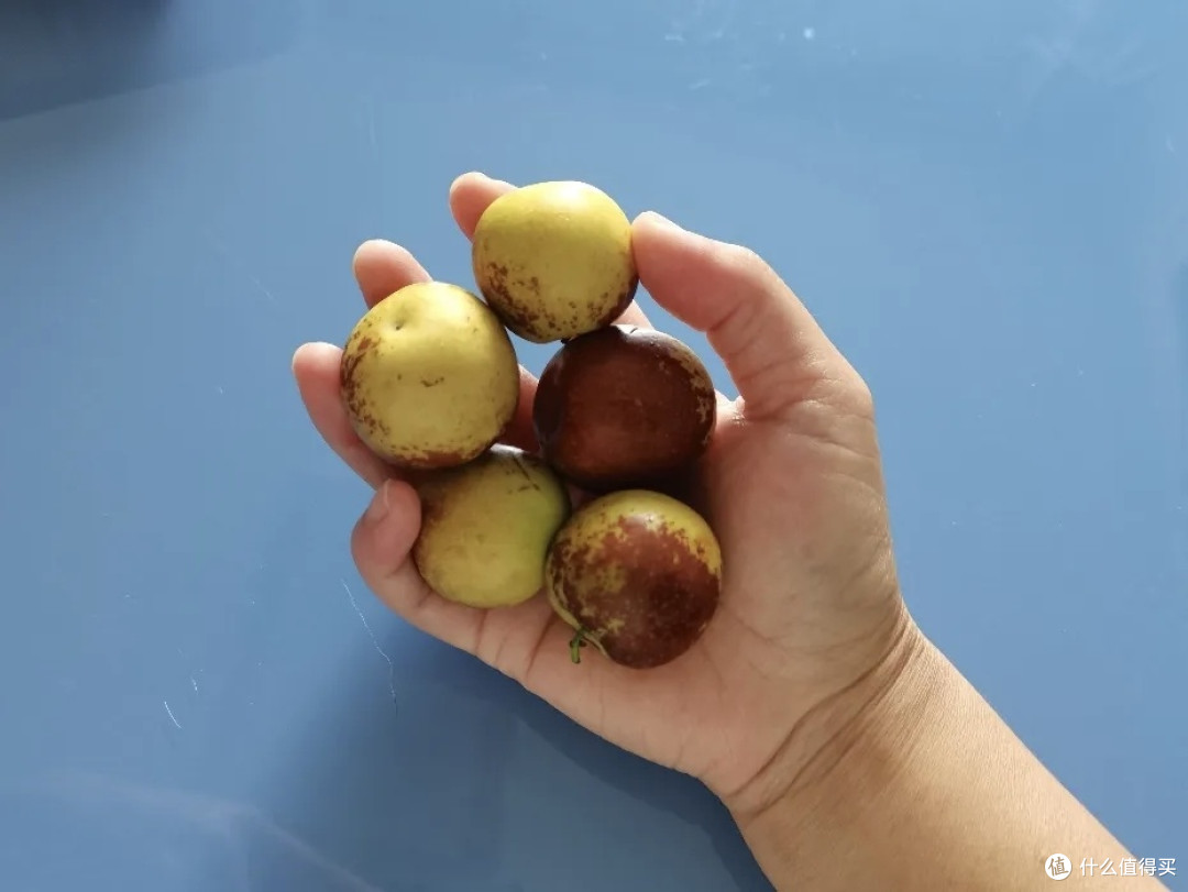 现在不吃的话，就得等到下一年了