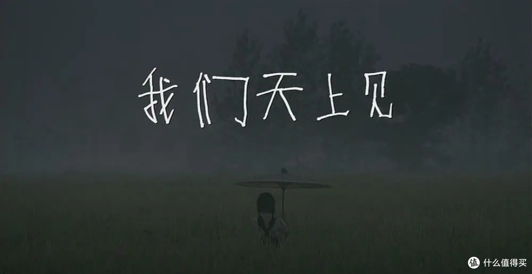8.7分,这部2009年的国产片,到现在没人敢翻拍