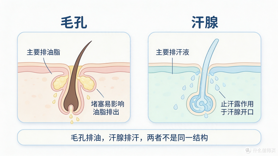 止汗露会堵毛孔吗？学生党第一次用，一定要知道这几点