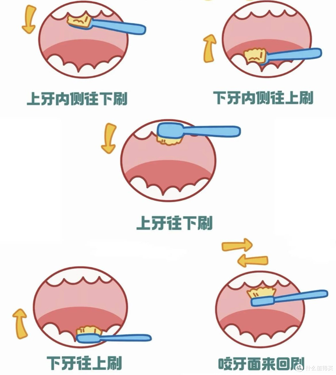 85%中年人牙周不健康,你中招没?