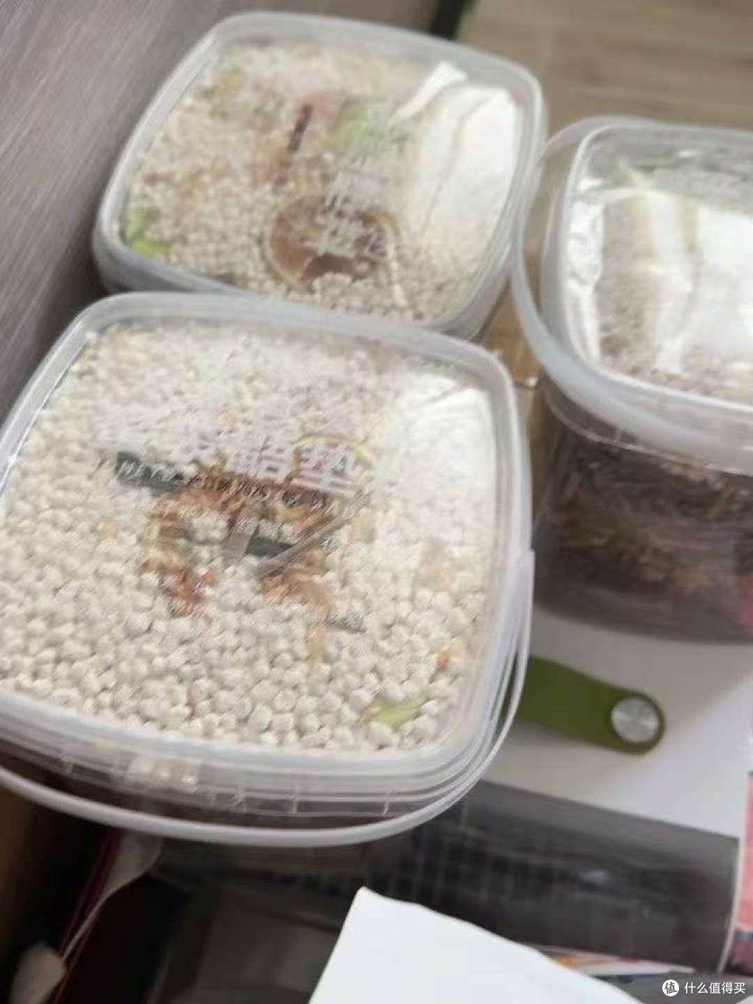 飞鼠仓鼠通用垫料除臭对比