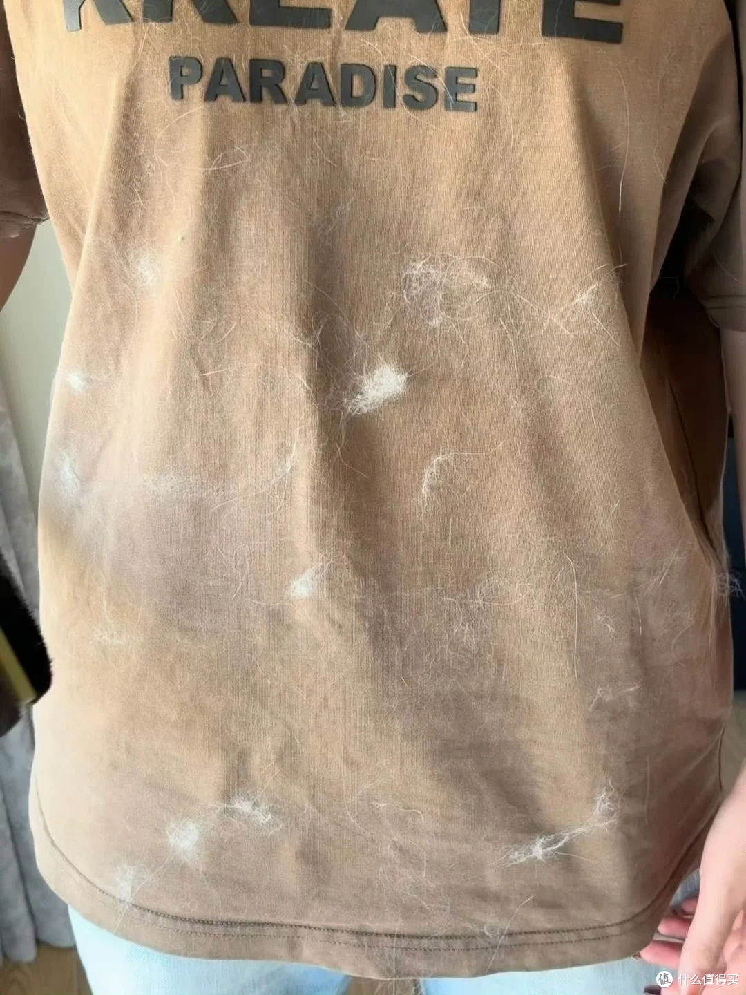 长毛猫多猫家庭怎么清理猫毛?猫毛吸尘器两周使用体验分享