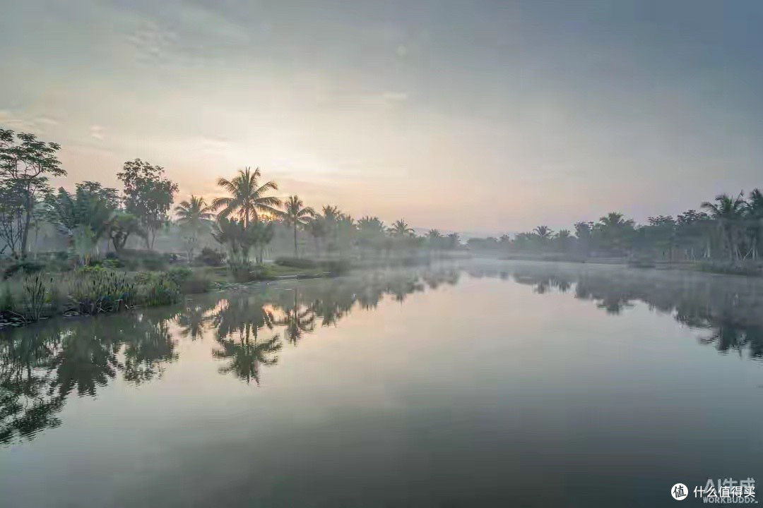 灵芝孢子油选购笔记:包装背面那几行字怎么看