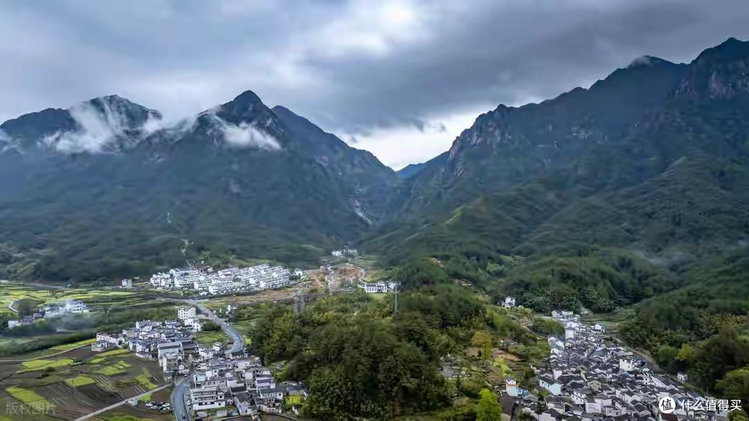 蛋白粉怎么挑？五款产品从蛋白来源和每份规格逐项看