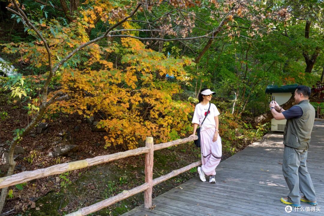 赏秋不只大兴安岭,东北最「红」的秋色,藏在这个冷门的枫叶之都