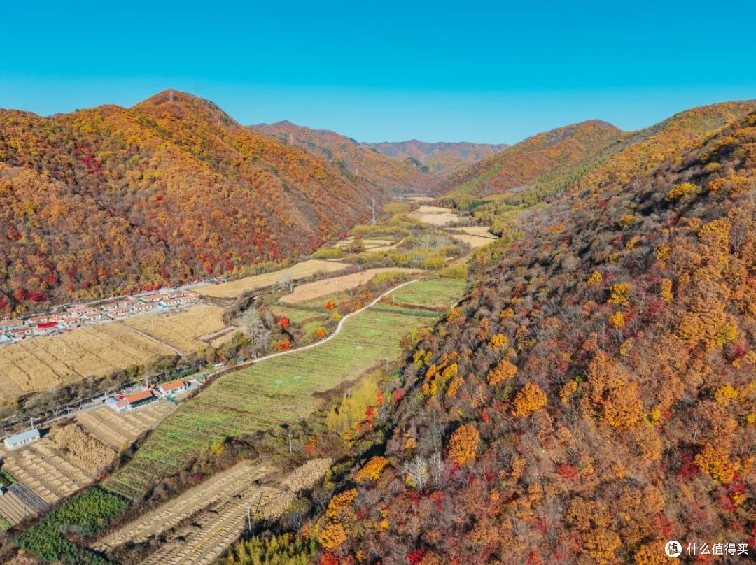 赏秋不只大兴安岭,东北最「红」的秋色,藏在这个冷门的枫叶之都