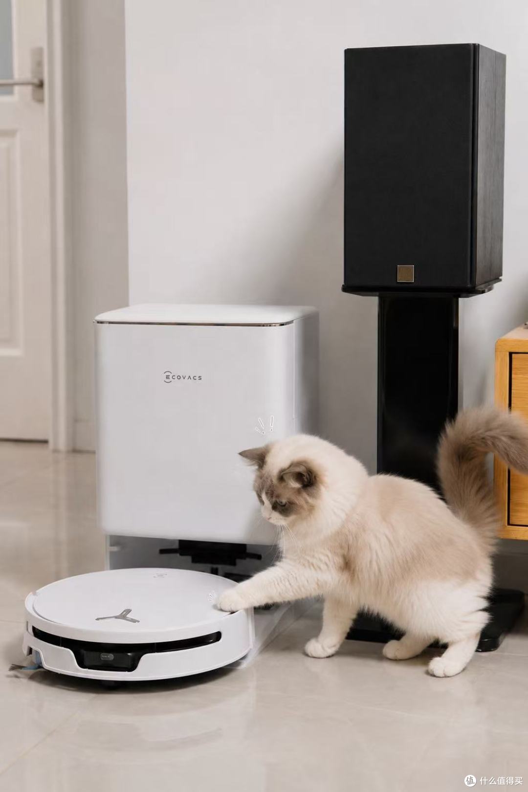 把弯腰猛擦+实时洗抹布+大面积清洁,塞进一台机器:科沃斯 T90S PRO,有多卷?