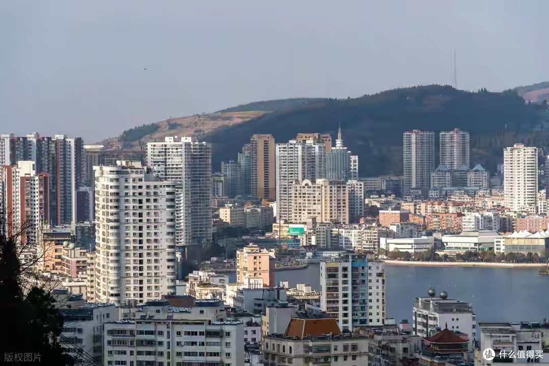 rTG型鱼油怎么选?七款产品看形态、含量与配比