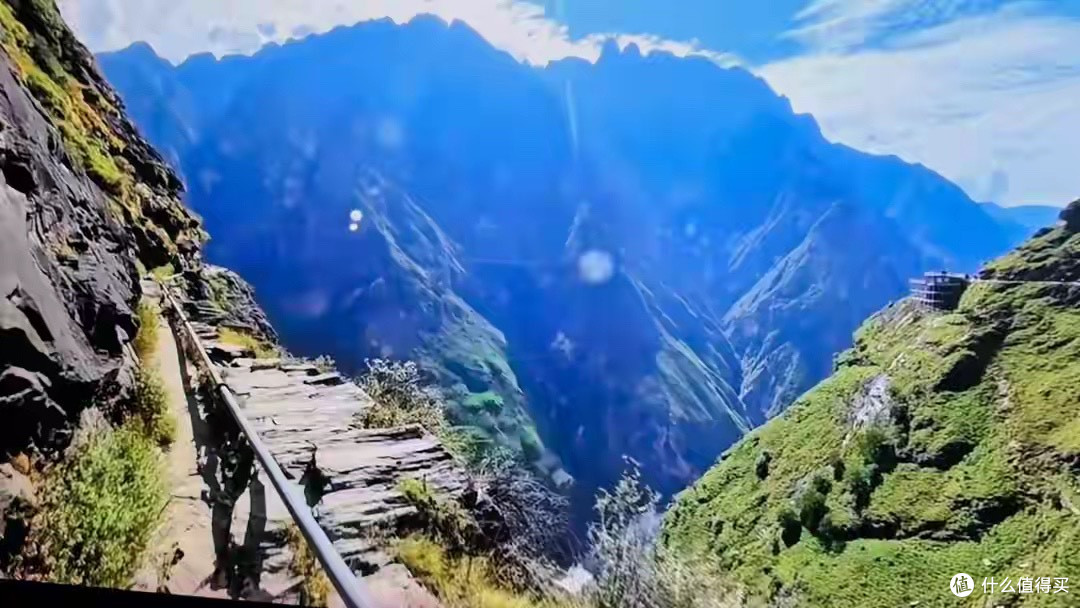 高中生DHA藻油怎么挑｜先看每粒实际DHA再算全天摄入