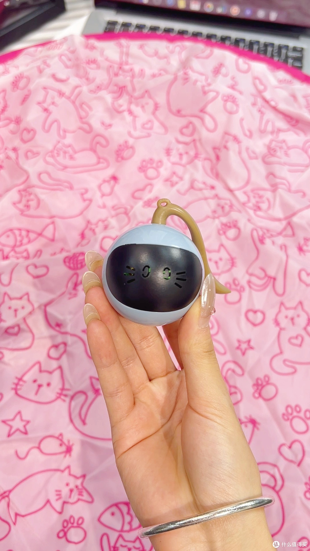 智能逗猫棒和普通逗猫棒区别