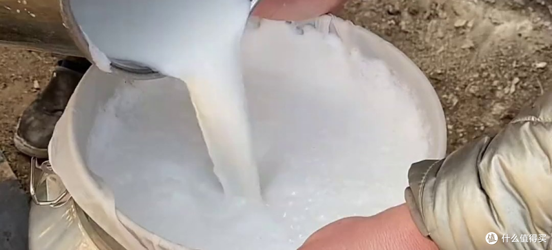 中老年人驼奶粉品牌测评,三款合规纯驼乳粉对比分享