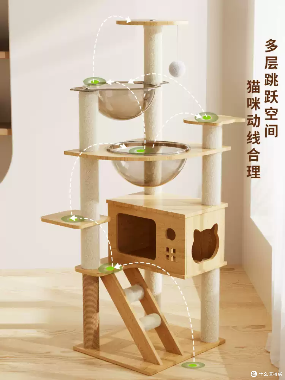 增加猫咪运动量,让主子陪我们更久:亲测有用的4个方法