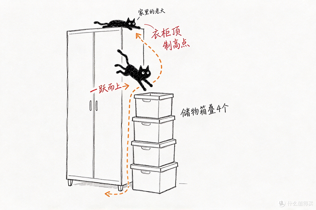 增加猫咪运动量,让主子陪我们更久:亲测有用的4个方法