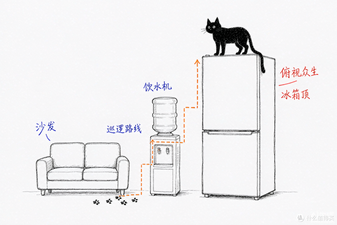 增加猫咪运动量,让主子陪我们更久:亲测有用的4个方法