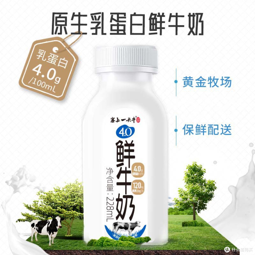 塞上一头牛 4.0g乳蛋白鲜牛奶 简单说说