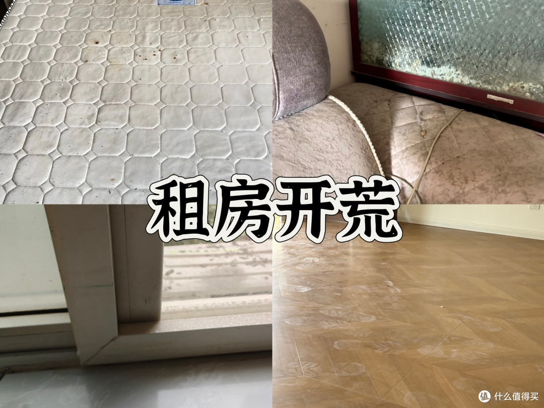 除螨仪推荐|友望 / 美的 / 松下三款除螨仪,租房开荒深度横测评