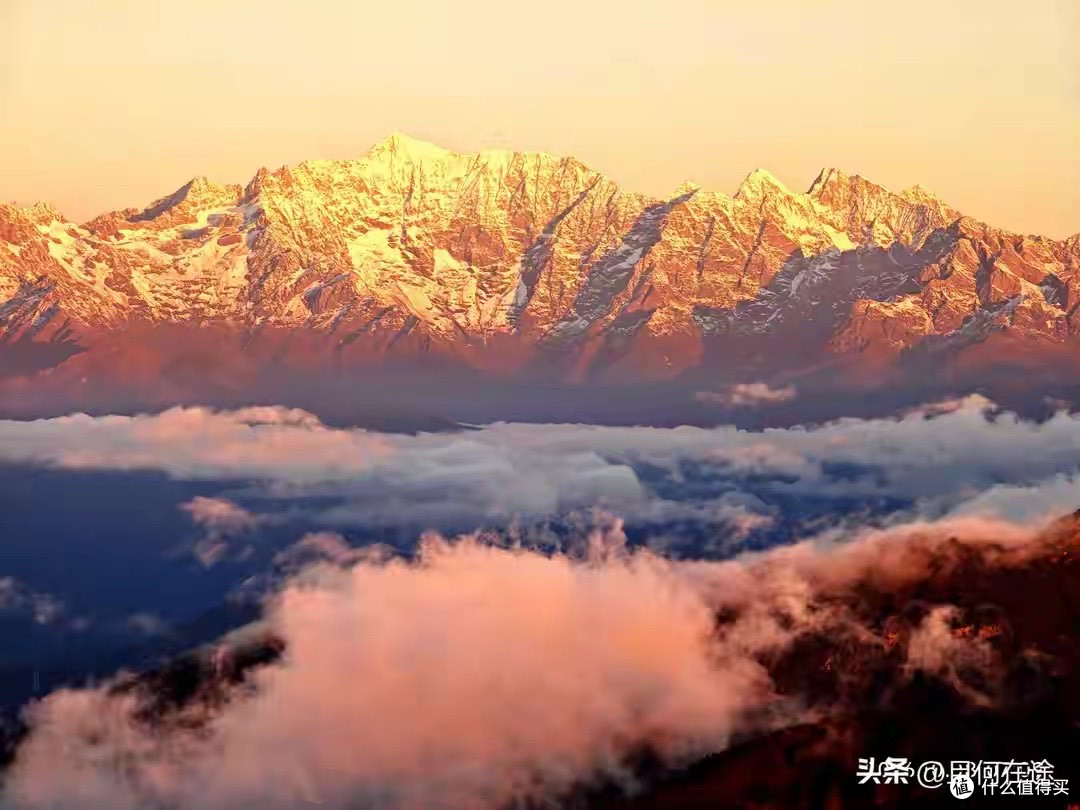 五款淡干海参怎么选：我自己的核对顺序