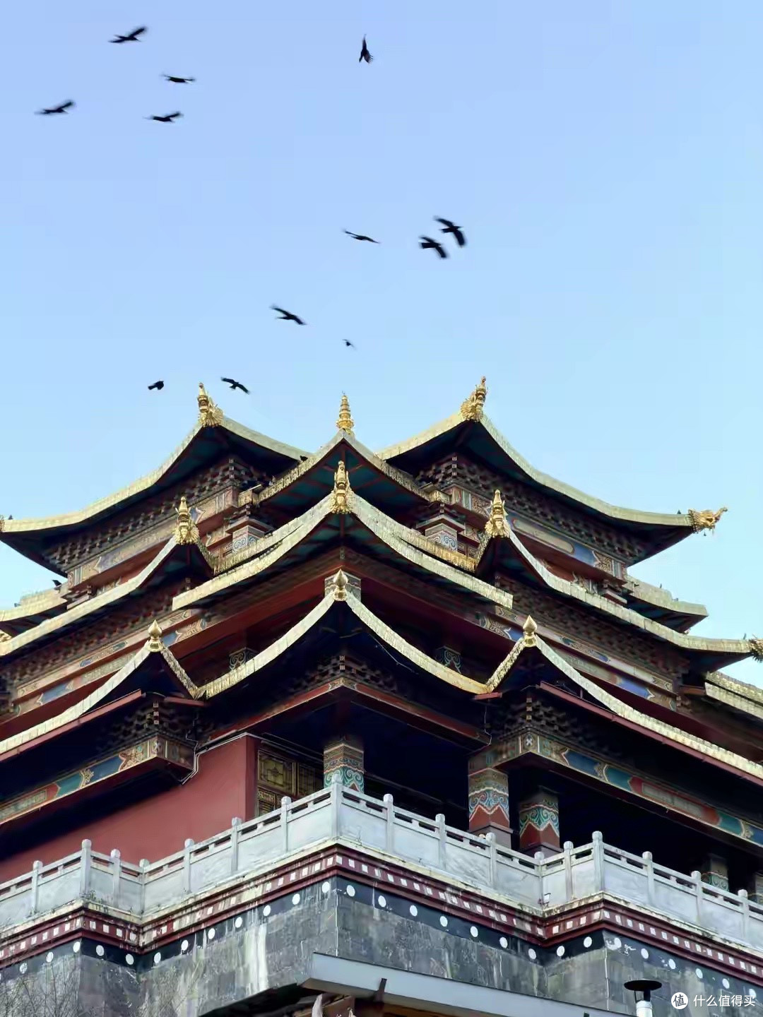 轻运动补充蛋白怎么选？七款国产蛋白粉的标签核对思路