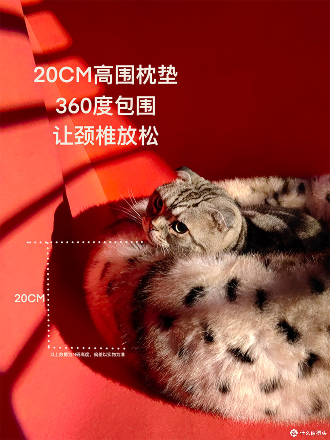 可机洗可烘干的3M棉猫窝实测