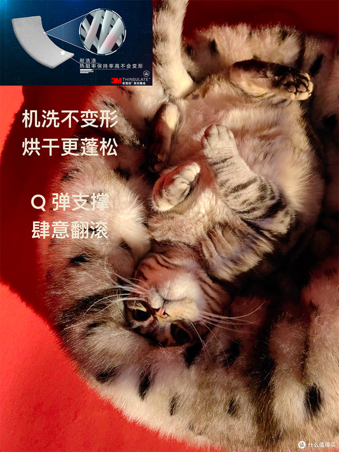 可机洗可烘干的3M棉猫窝实测