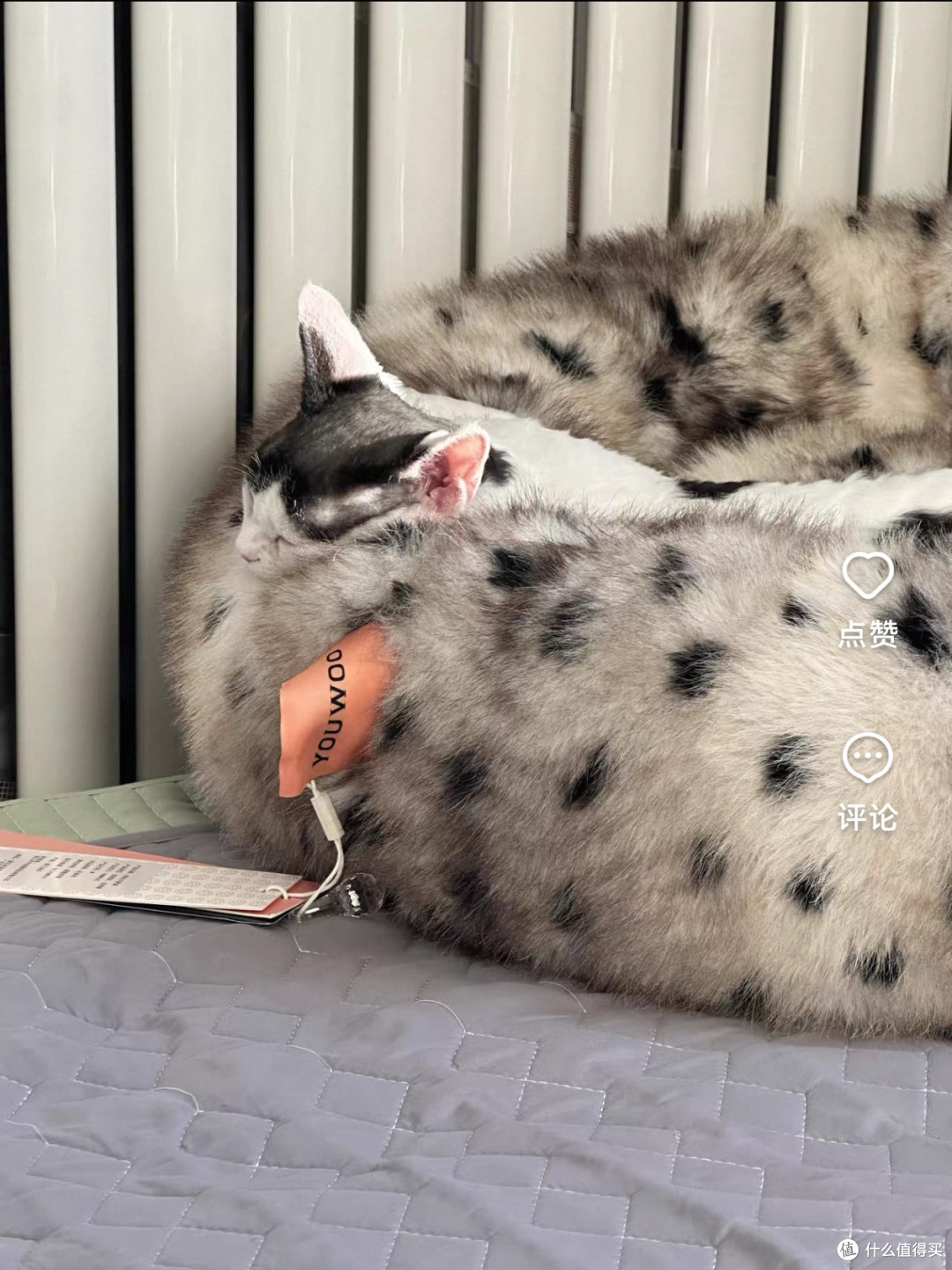 可机洗可烘干的3M棉猫窝实测