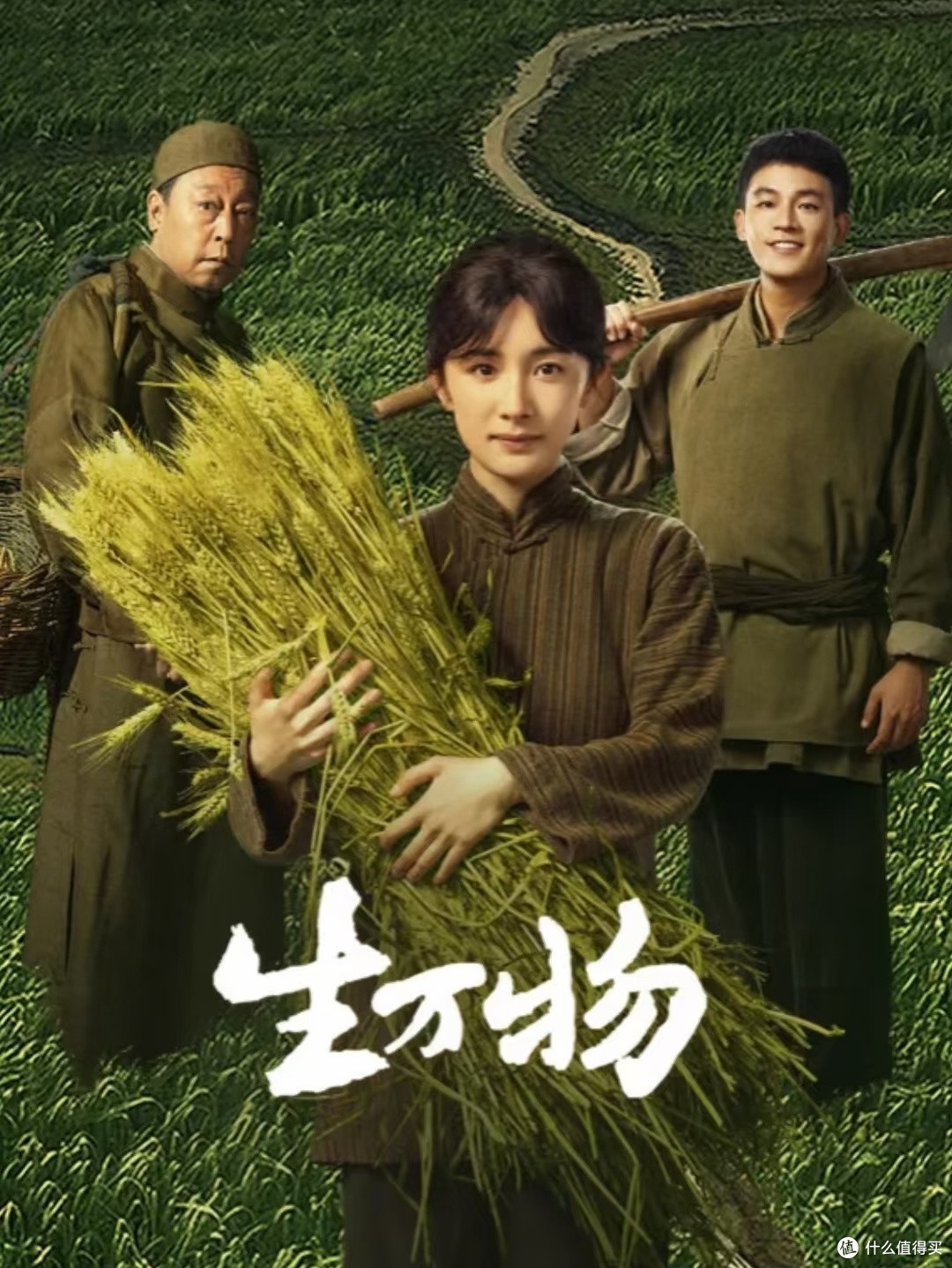 飞天奖落幕,这届获奖剧集可以当假期片单