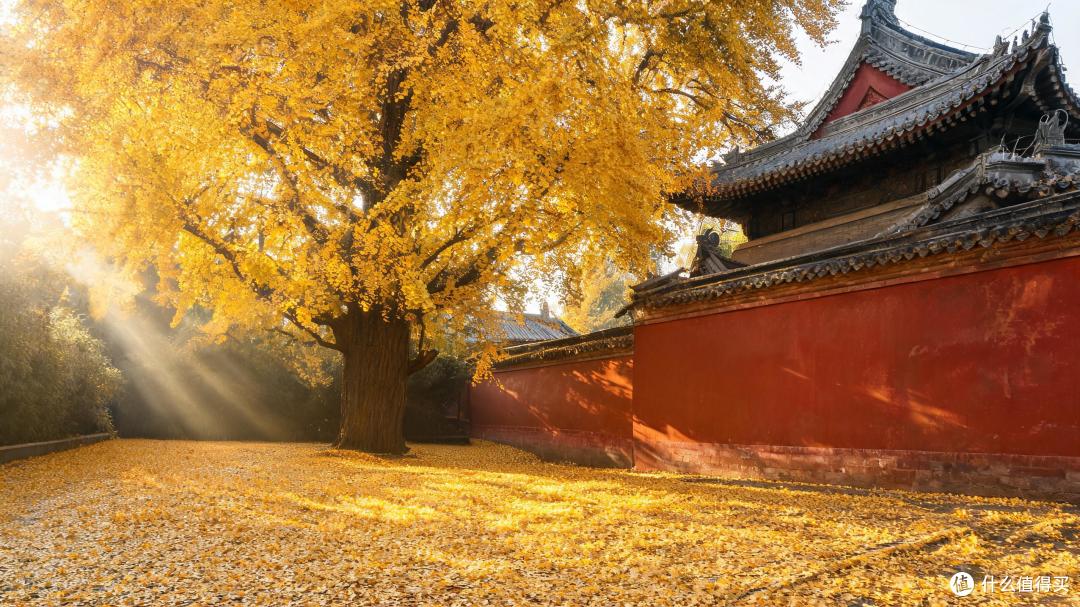 京津冀的秋天有60天：1张图看懂「京津冀秋色推进图」