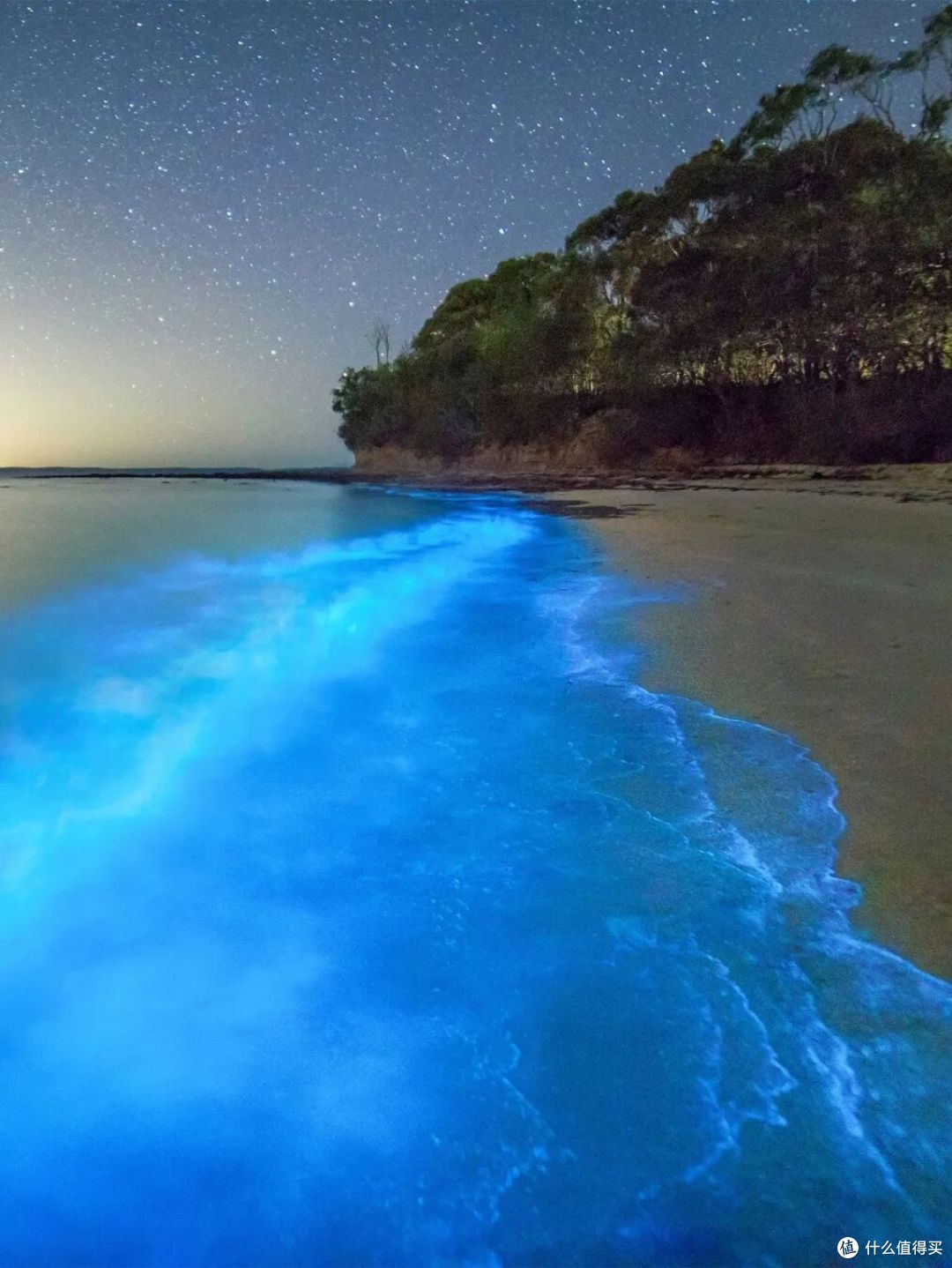 ● Hyams Beach, Jervis Bay, New South Wales  📷 / © Destination NSW