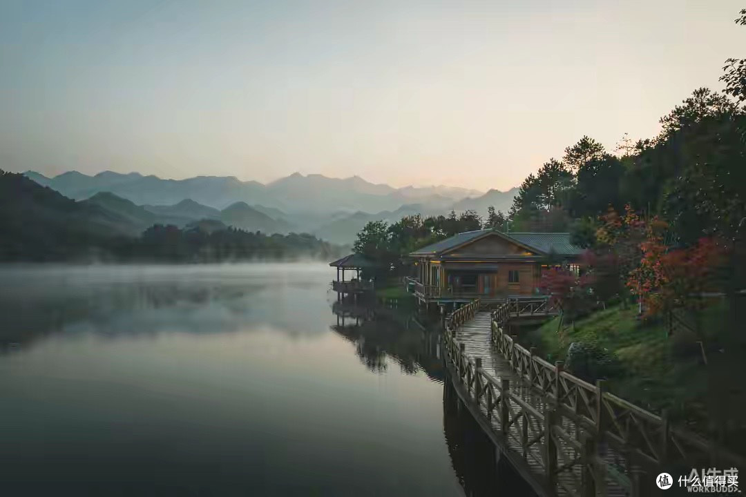 我怎么看灵芝孢子油的标签:几个国产品牌的选购思路