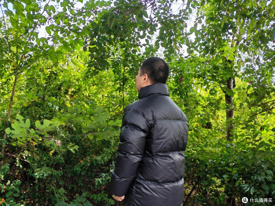 VBREX 羽绒服实测搭载石墨烯技术，蓄热锁温，平价保暖外套分享