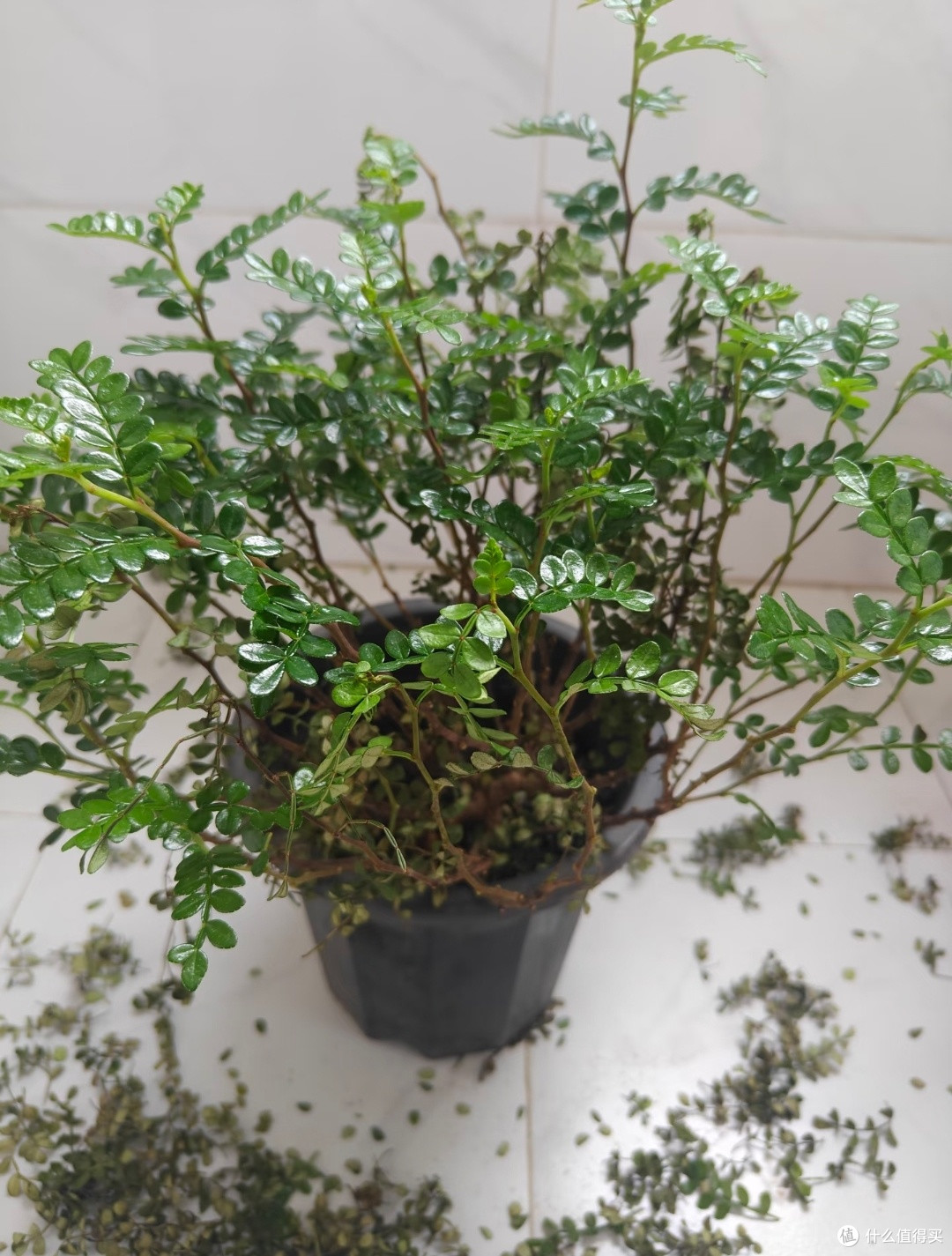 被网友的"客厅断舍离"惊呆了,扔掉这4样,家大了,家务少一大半